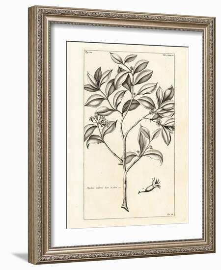 Tropical Leaf Study I-Hugo Wild-Framed Art Print