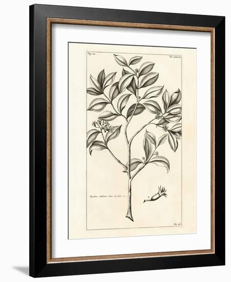 Tropical Leaf Study I-Hugo Wild-Framed Art Print