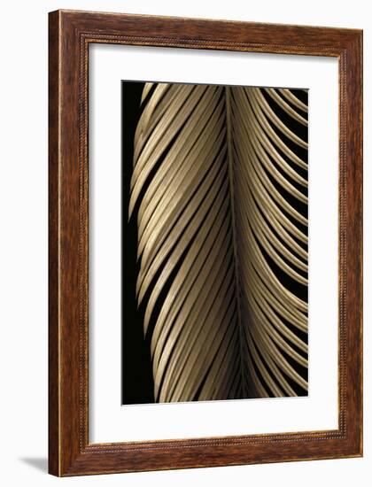 Tropical Leaf Study II-Andrew Levine-Framed Giclee Print