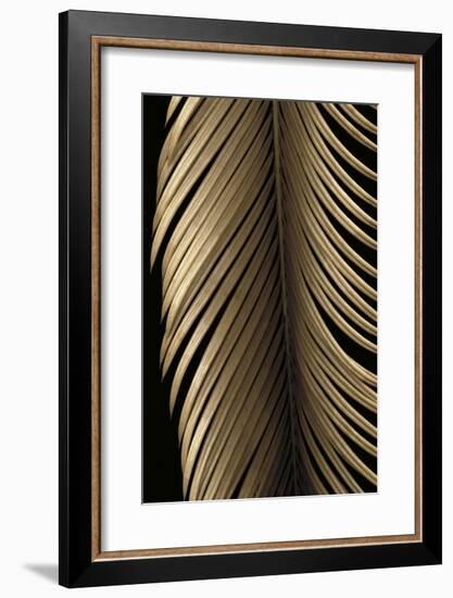 Tropical Leaf Study II-Andrew Levine-Framed Giclee Print