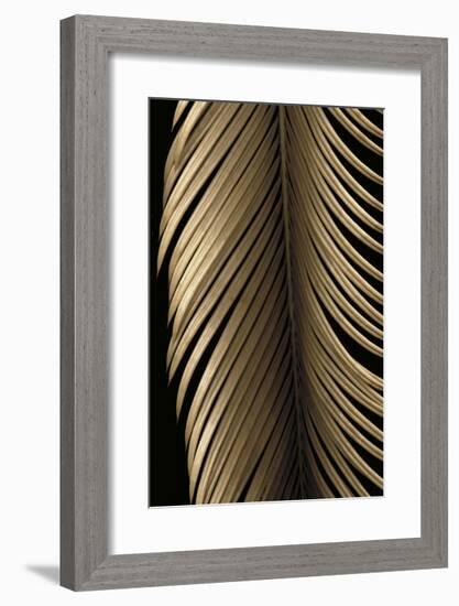 Tropical Leaf Study II-Andrew Levine-Framed Giclee Print