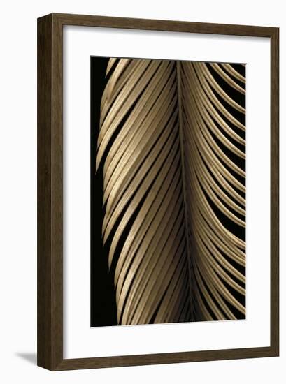 Tropical Leaf Study II-Andrew Levine-Framed Giclee Print