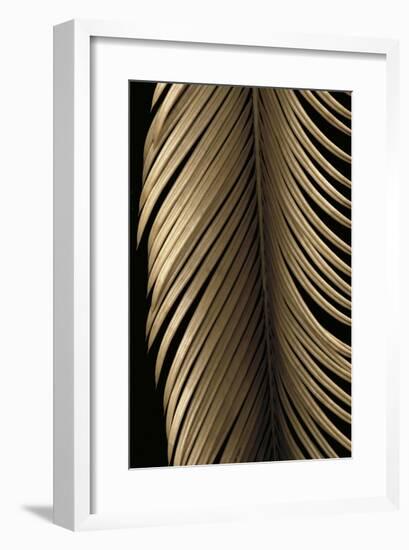 Tropical Leaf Study II-Andrew Levine-Framed Giclee Print