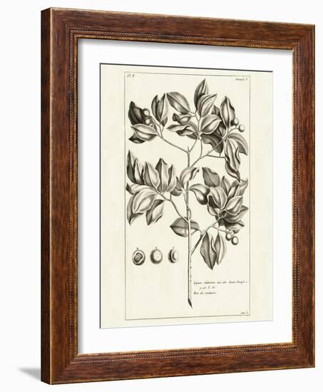 Tropical Leaf Study II-Wild Apple Portfolio-Framed Art Print