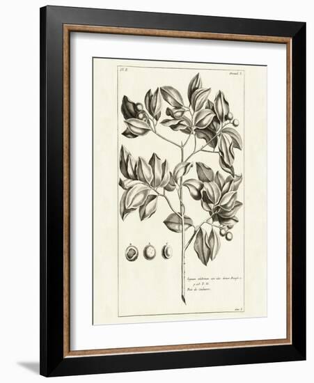 Tropical Leaf Study II-Wild Apple Portfolio-Framed Art Print