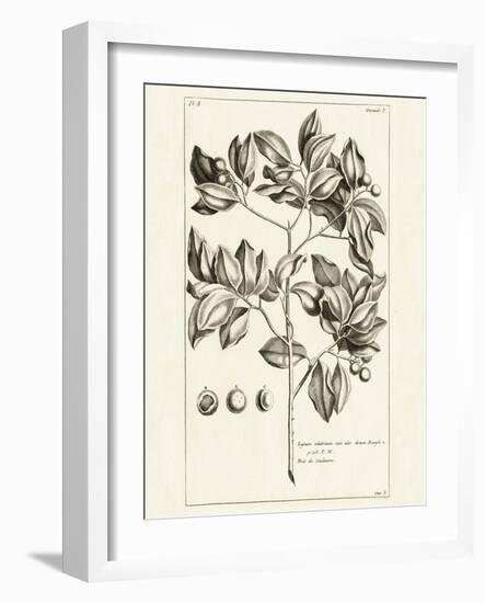 Tropical Leaf Study II-Wild Apple Portfolio-Framed Art Print