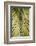 Tropical Leaf-Henrike Schenk-Framed Photographic Print