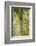 Tropical Leaf-Henrike Schenk-Framed Photographic Print