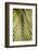 Tropical Leaf-Henrike Schenk-Framed Photographic Print