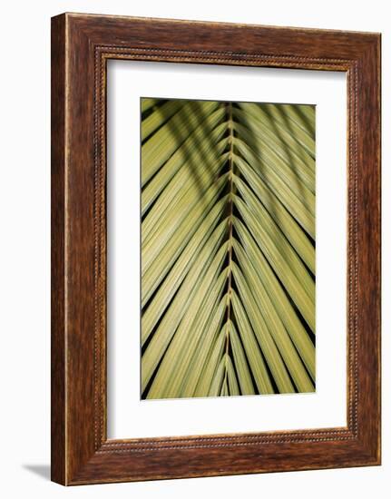 Tropical Leaf-Henrike Schenk-Framed Photographic Print