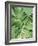 Tropical Leaves 2-LILA X LOLA-Framed Art Print