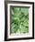 Tropical Leaves 2-LILA X LOLA-Framed Art Print