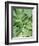 Tropical Leaves 2-LILA X LOLA-Framed Art Print