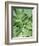 Tropical Leaves 2-LILA X LOLA-Framed Art Print