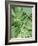 Tropical Leaves 2-LILA X LOLA-Framed Art Print