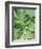 Tropical Leaves 2-LILA X LOLA-Framed Art Print