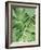 Tropical Leaves 2-LILA X LOLA-Framed Art Print