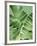 Tropical Leaves 2-LILA X LOLA-Framed Art Print