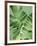 Tropical Leaves 2-LILA X LOLA-Framed Art Print