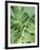 Tropical Leaves 2-LILA X LOLA-Framed Art Print