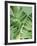 Tropical Leaves 2-LILA X LOLA-Framed Art Print