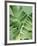 Tropical Leaves 2-LILA X LOLA-Framed Art Print