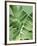 Tropical Leaves 2-LILA X LOLA-Framed Art Print