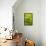 Tropical Leaves II-Karyn Millet-Framed Premier Image Canvas displayed on a wall