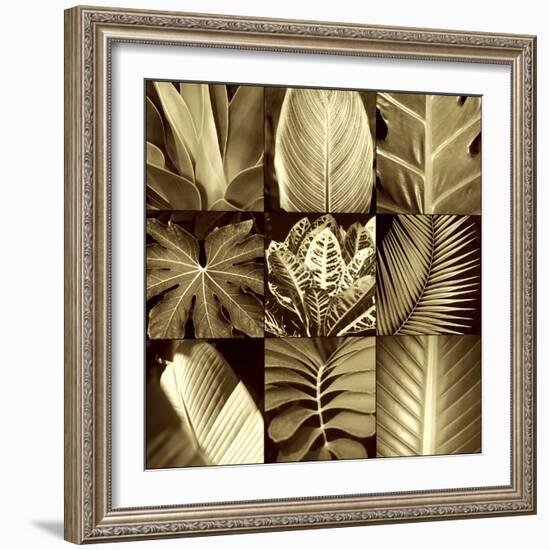 Tropical Leaves II-Caroline Kelly-Framed Photo