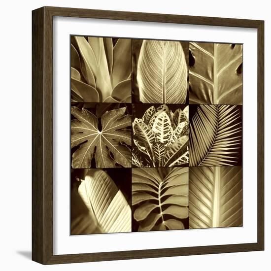 Tropical Leaves II-Caroline Kelly-Framed Photo