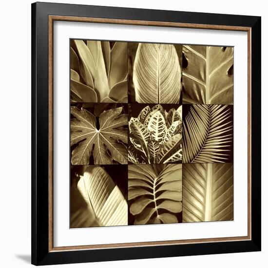 Tropical Leaves II-Caroline Kelly-Framed Photo