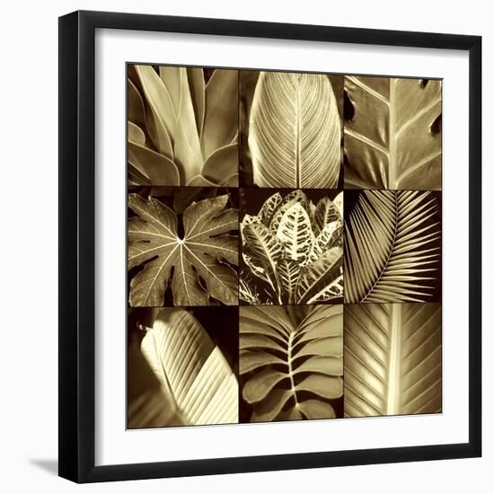 Tropical Leaves II-Caroline Kelly-Framed Photo