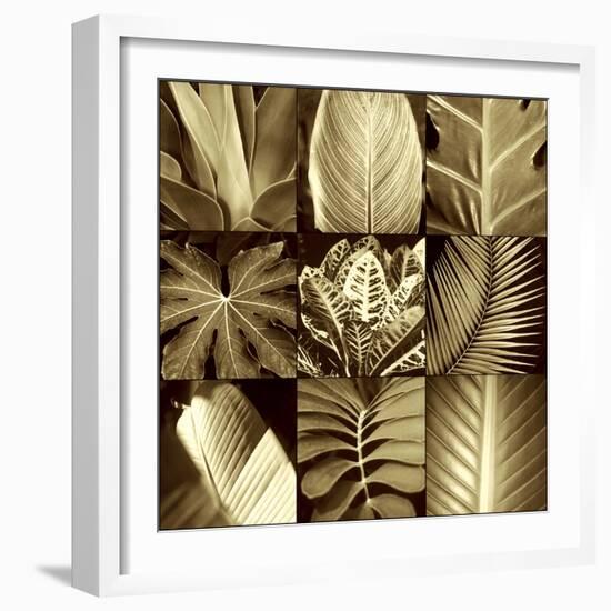 Tropical Leaves II-Caroline Kelly-Framed Photo