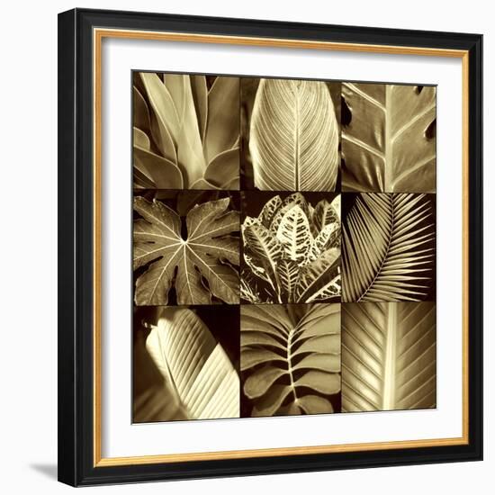 Tropical Leaves II-Caroline Kelly-Framed Photo