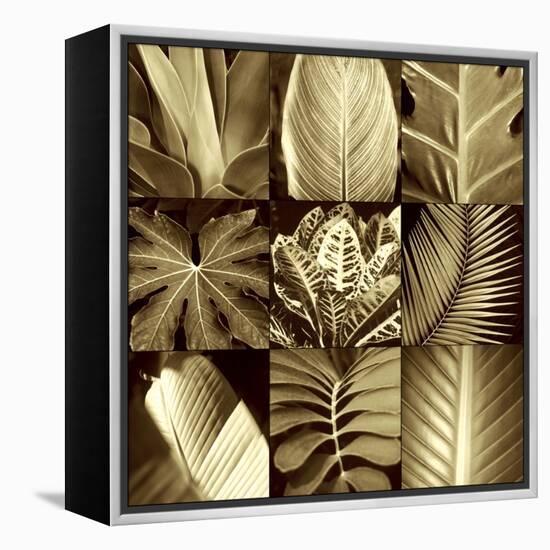 Tropical Leaves II-Caroline Kelly-Framed Stretched Canvas