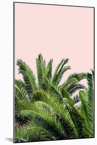 Tropical Leaves on Blush II-Acosta-Mounted Art Print