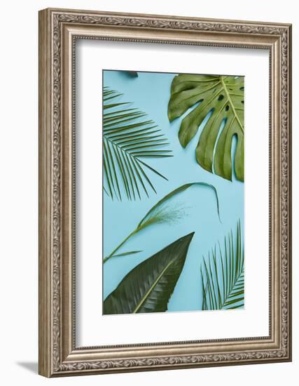 Tropical Leaves-artjazz-Framed Photographic Print