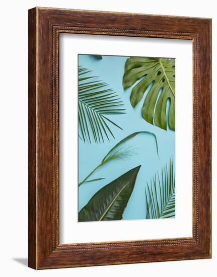 Tropical Leaves-artjazz-Framed Photographic Print