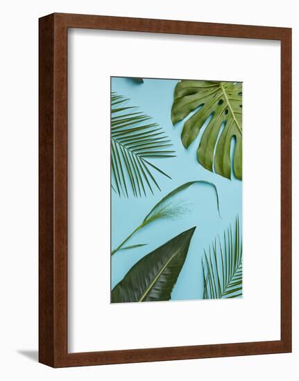 Tropical Leaves-artjazz-Framed Photographic Print