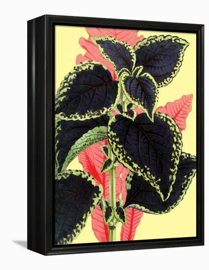 Tropical Leaves-null-Framed Stretched Canvas