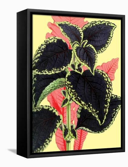 Tropical Leaves-null-Framed Stretched Canvas