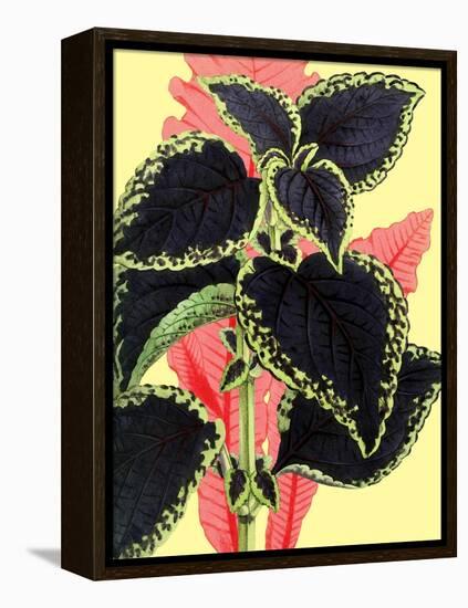 Tropical Leaves-null-Framed Stretched Canvas