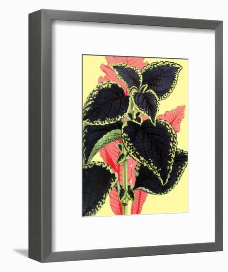 Tropical Leaves-null-Framed Art Print