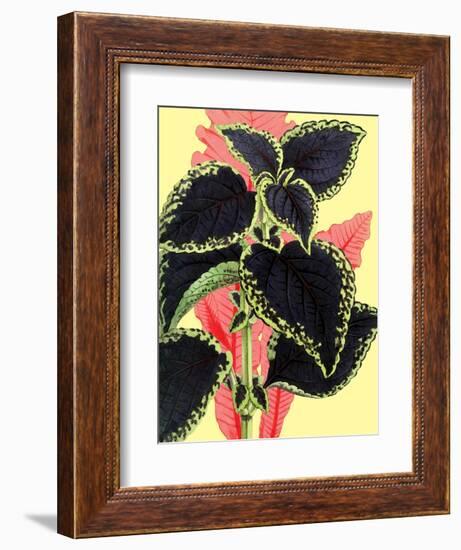 Tropical Leaves-null-Framed Premium Giclee Print