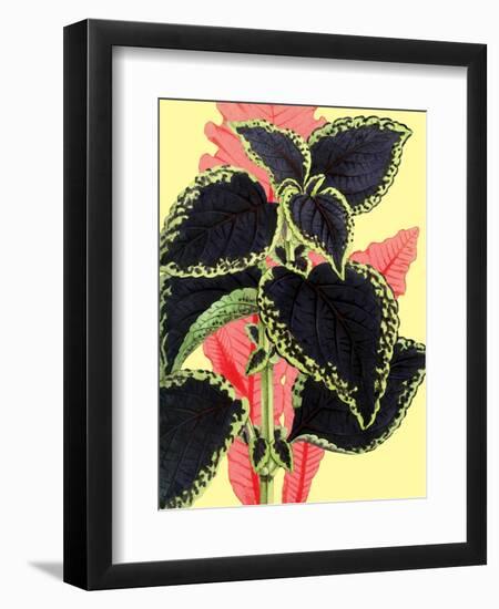 Tropical Leaves-null-Framed Premium Giclee Print