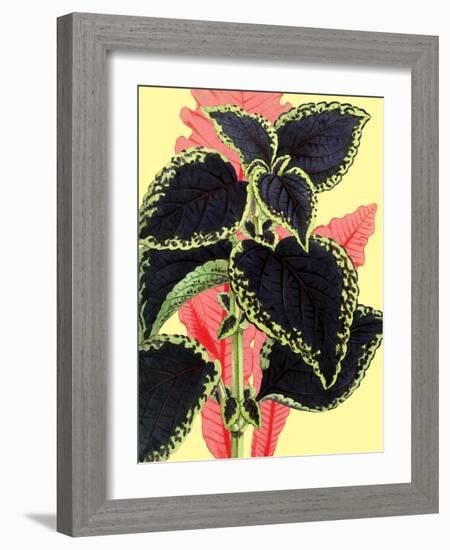 Tropical Leaves-null-Framed Art Print