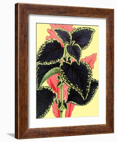 Tropical Leaves-null-Framed Art Print