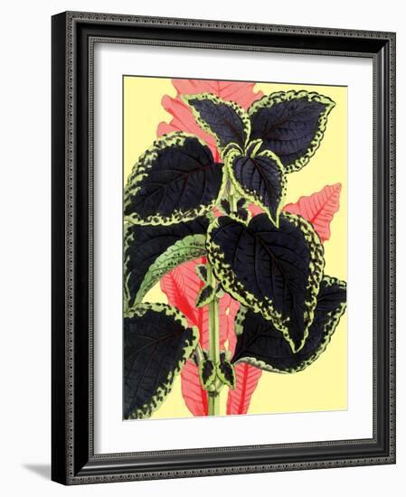 Tropical Leaves-null-Framed Art Print