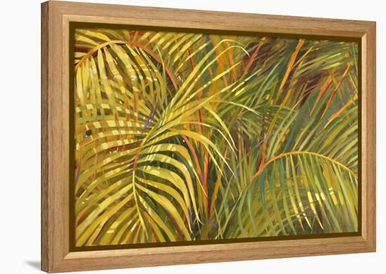 Tropical Light-Darrell Hill-Framed Premier Image Canvas