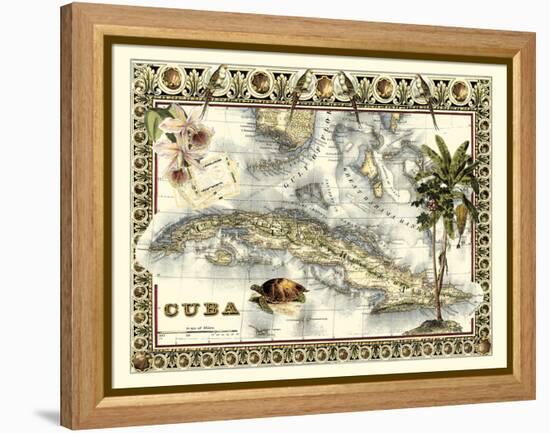 Tropical Map of Cuba-Vision Studio-Framed Stretched Canvas